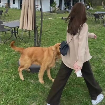 恶搞之家第十五季
